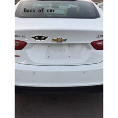 برچسب نگاه گربه