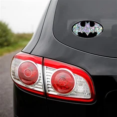 بازتاب بازتاب خفاش